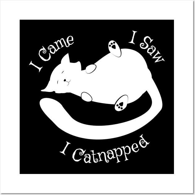 I Came I Saw Catnapped Cute Cat Wall Art by atomguy